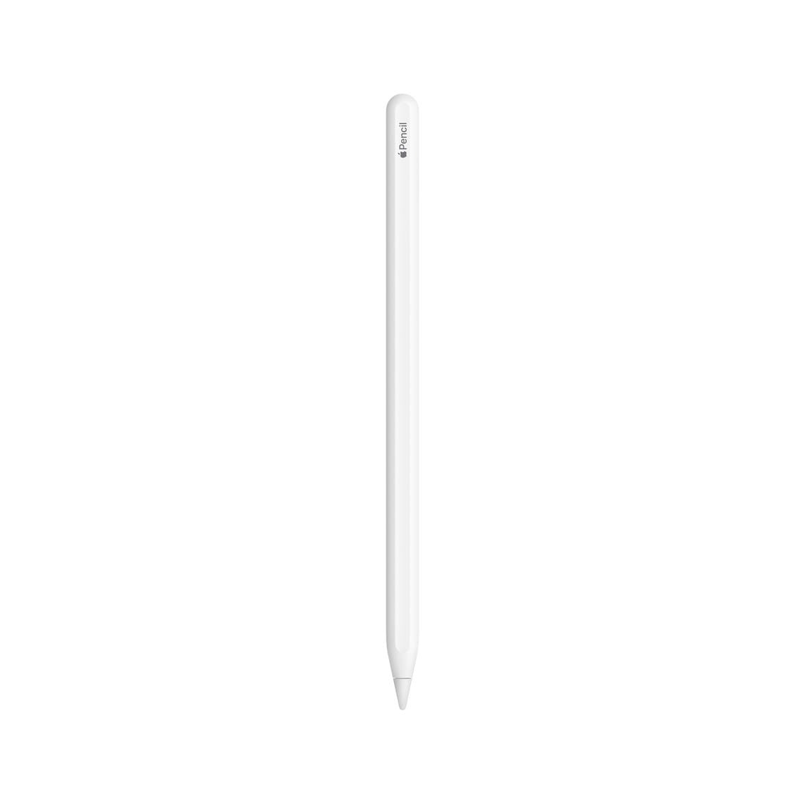 Apple Pencil 2ᵉ génération image