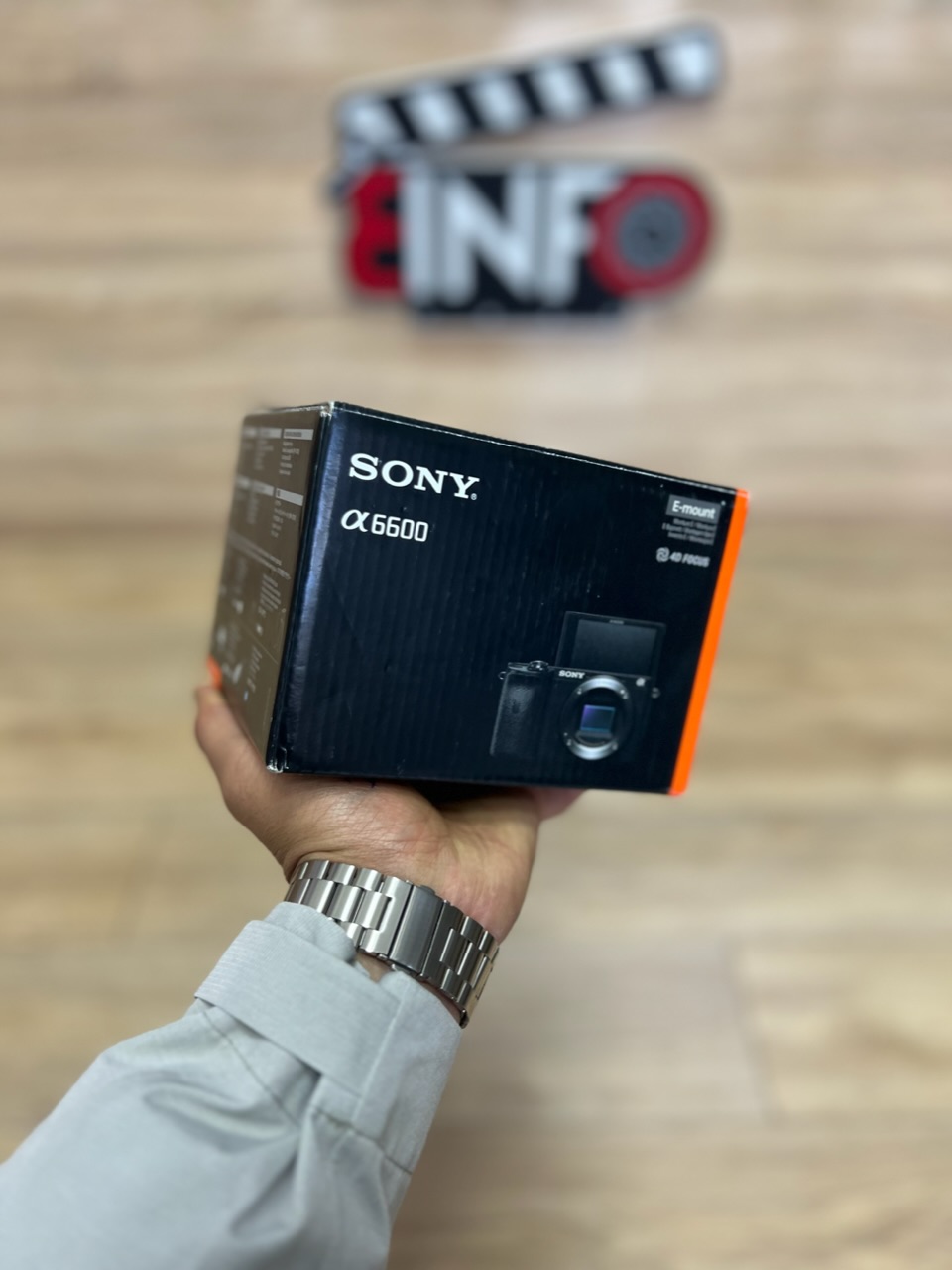 Sony a6600 image