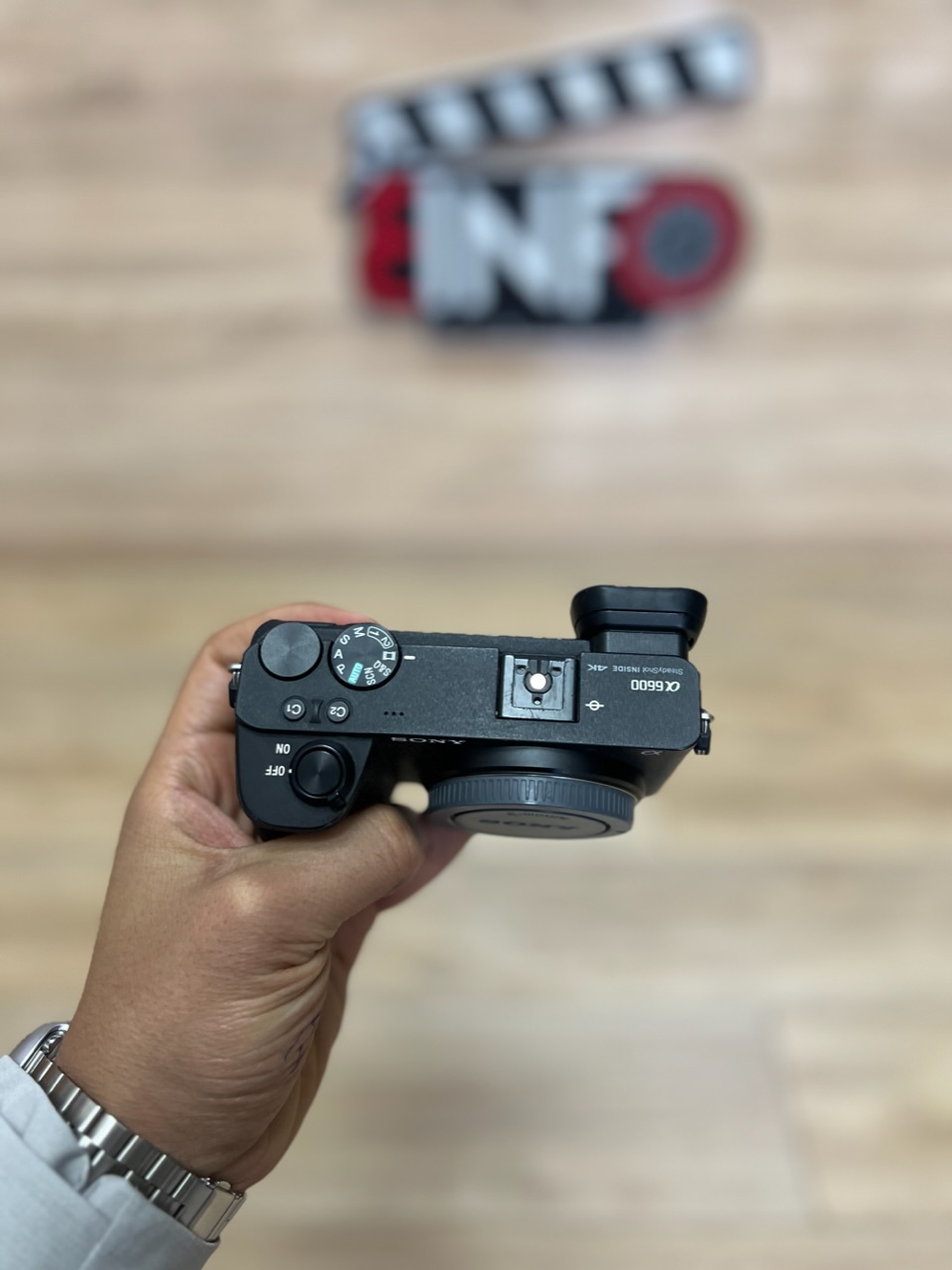 Sony a6600 image