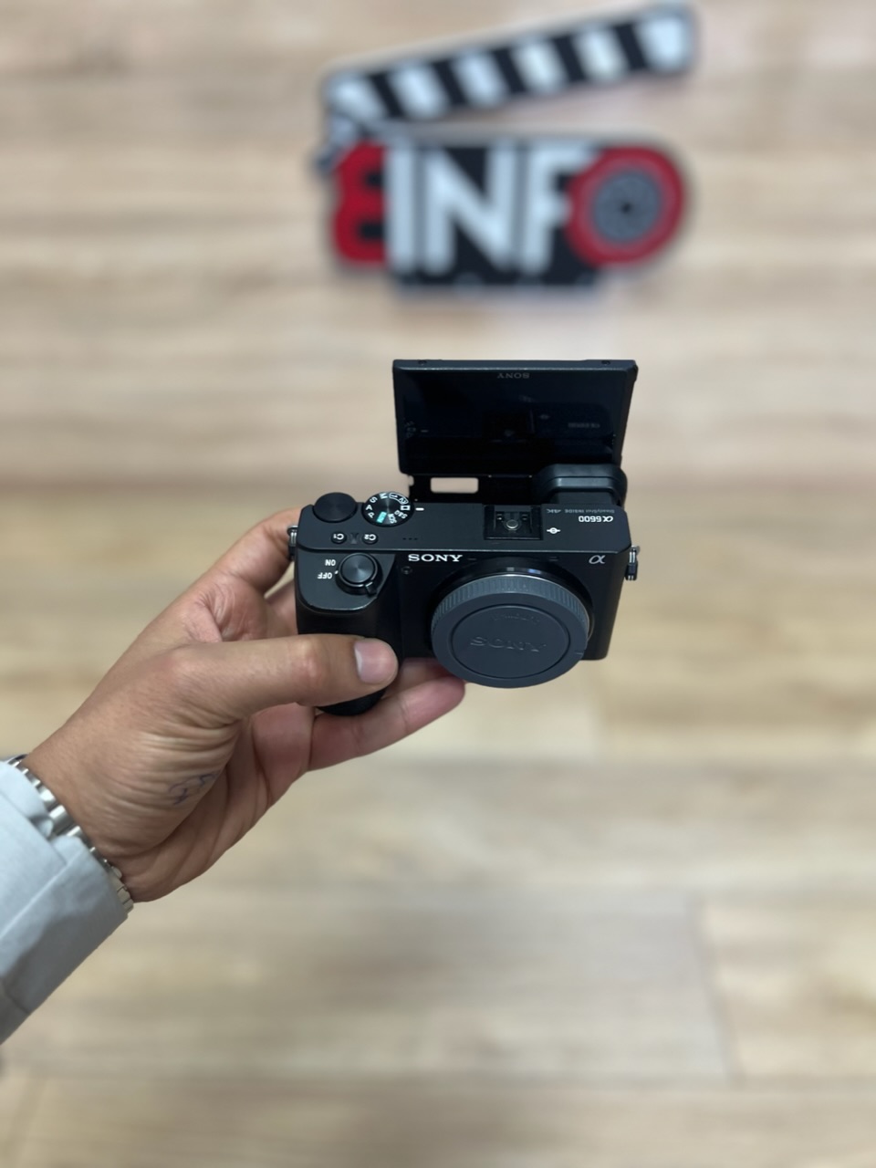 Sony a6600 image