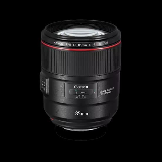 Canon EF 85mm f/1.4L IS USM image